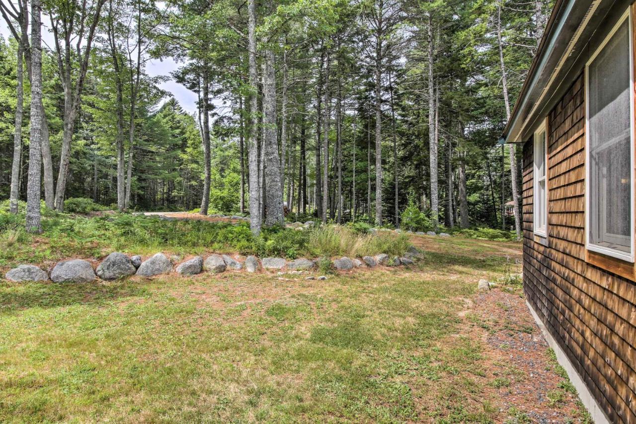 Brooklin Hidden Gem Cottage Near Blue Hill Peninsula מראה חיצוני תמונה