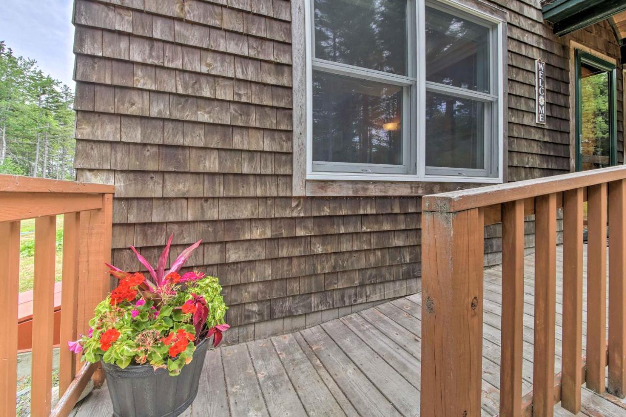 Brooklin Hidden Gem Cottage Near Blue Hill Peninsula מראה חיצוני תמונה